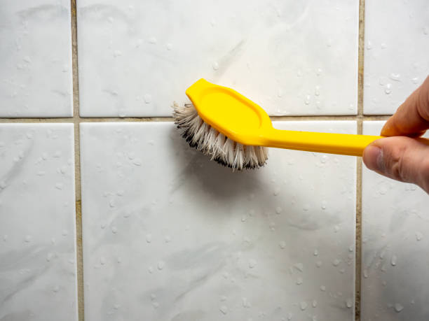 Best Fast Mold Removal  in Muscoy, CA