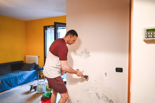 Certified Mold Removal in Muscoy, CA